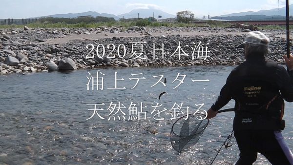 ２０２０年夏・日本海、新潟・富山の天然鮎遡上河川